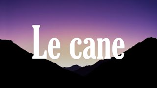 MUTİ - LE CANE feat. UZİ x CRİTİCAL x HEİJAN ( Sözleri/Lyrics )