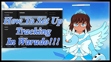 How To Set Up Tracking In Warudo!!!