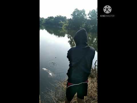 Video: Cara Memancing Dengan Jaring