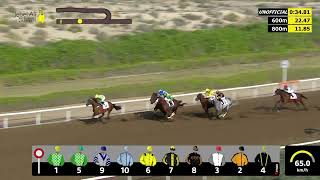 Vidéo de la course PMU JEBEL ALI SPRINT PREP SPONSORED BY EMIRATES SPRINT SERIES