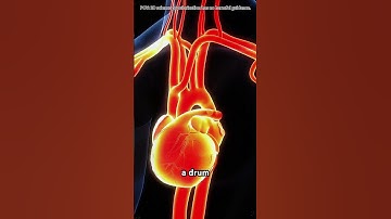 How heart pacemaker works? #doctor #doggielife #science