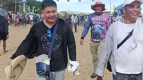 Courses de buffles des Philippines: Tradition et adrénaline