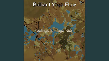 Astounding Music for Vinyasa