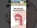 【アニメ】花粉症になるしくみ