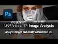 Pro image analysis actions for photoshop overview  nbp retouch tools