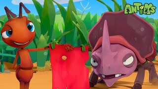 Dung Beetle Matador! | Oddbods Tv Full Episodes | Funny Cartoons For Kids