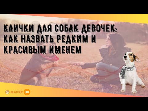 Клички для собак девочек: как назвать редким и красивым именем