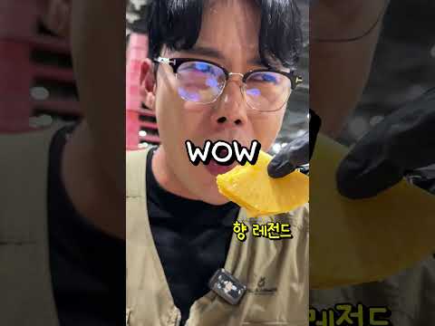 🍍전국에 우리밖에 없습니다! 신상 [망고파인애플] OPEN🔥