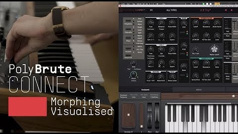 Tutorials | PolyBrute Connect - Episode 3: Morphing Visualised