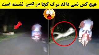 صحنه های ضبط شده از حمله حیوانات به انسان ها 😱 (قسمت 1)