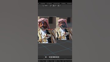 background image vs reference image in blender #ips #tutorial #blender#3d#blender3d#animation