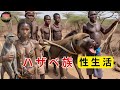 ハッザ族：最大10人の妻を持ち、サルを食べる孤高の部族｜衝撃のドキュメンタリー