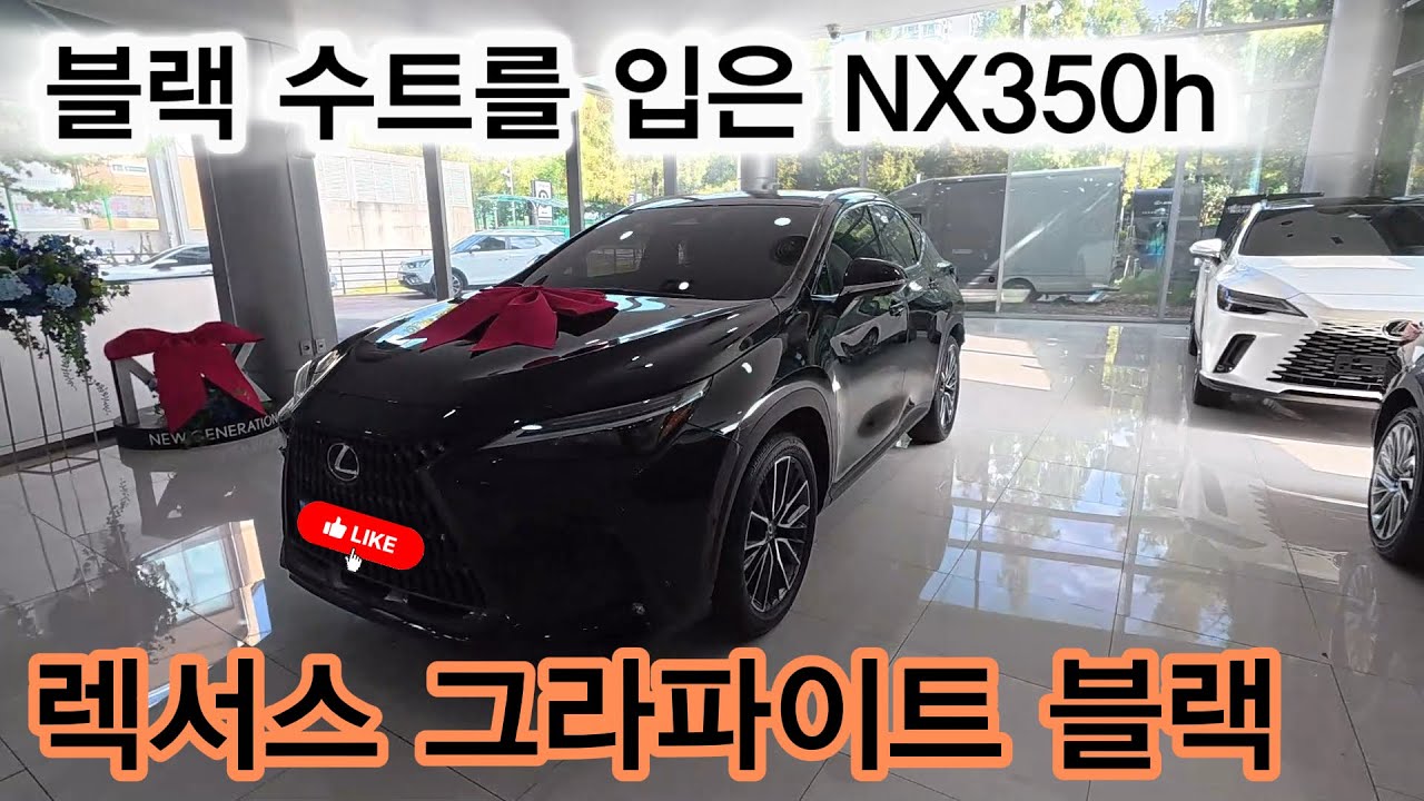 블랙 수트를 입은 렉서스 NX350h 럭셔리 출고기