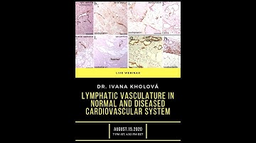 Lymphatic Vasculature in Normal and Diseased Cardiovascular System by Dr. Ivana Kholova