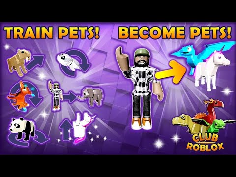 Pet Training Tricks And Become Your Pet Secret Camping Map Club Roblox Youtube - roblox clue roblox