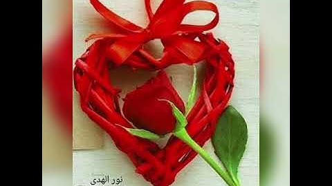 تلاوة تريح النفس😌 القارئ سالم الرويلي حالات واتس آب🌺 ستوريات إنستغرام 🌻 قرآن كريم🕌🌝