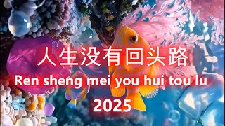 人生没有回头路 （好聽）好听的老歌 / Ren sheng mei you hui tou lu /2025