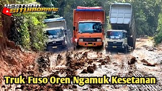 When Toyota and Hino forced the Fuso to go berserk