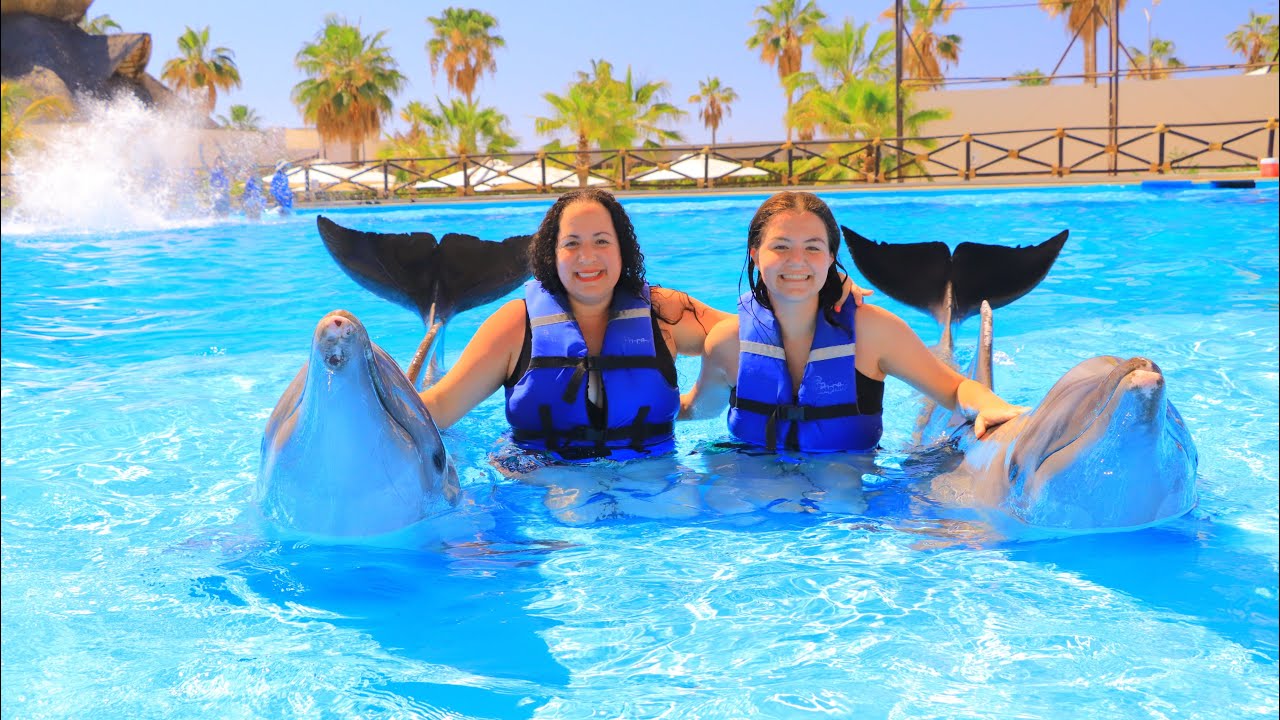 Swimming with Dolphins in Cabo San Lucas May 2023