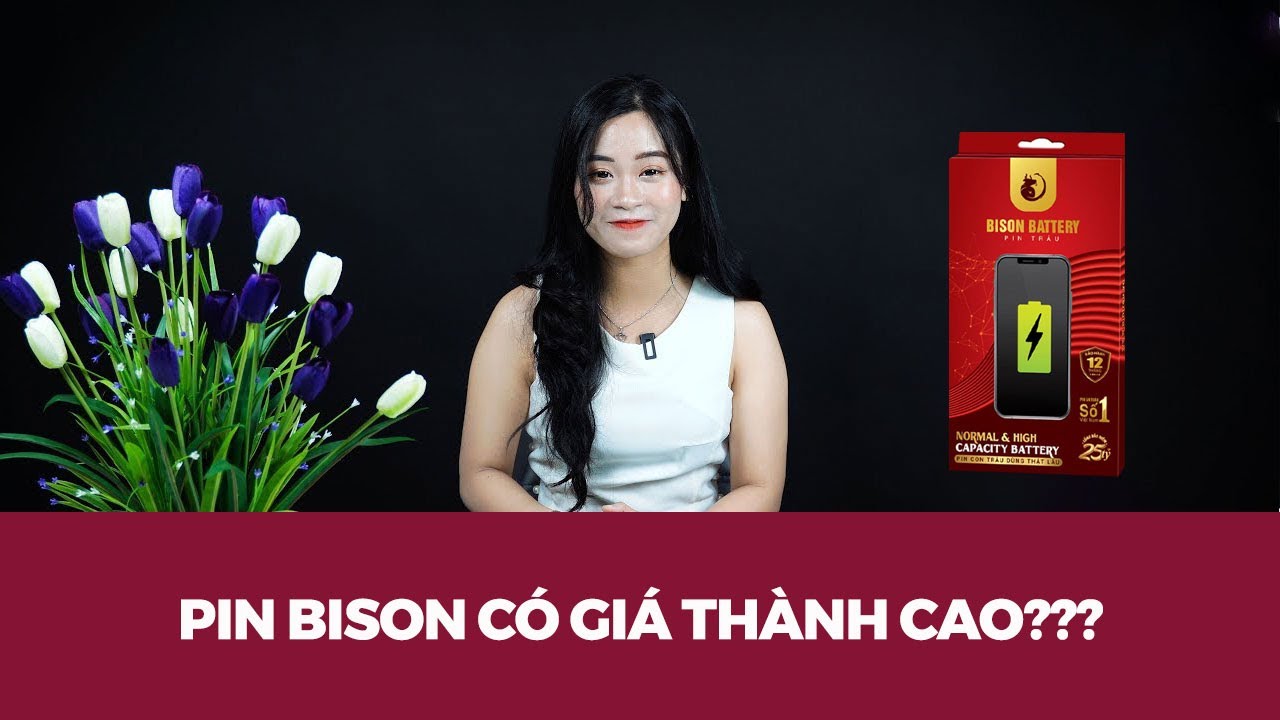 Vì sao Pin con trâu có giá bán cao hơn so với thị trường? | Đắt sắt ra miếng |
