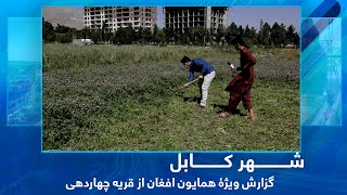 #HamayonAfghan Special report from Chahardihi Village / گزارش ویژۀ همایون افغان از قریه چهاردهی