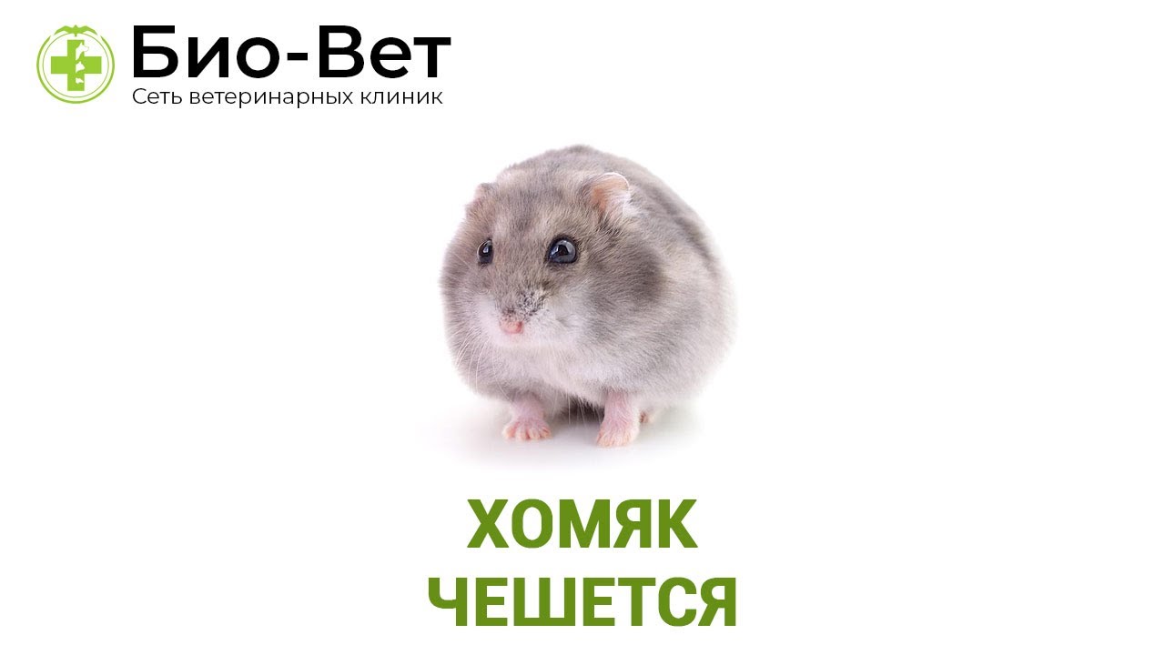 Отрицательное влияние окружающей среды