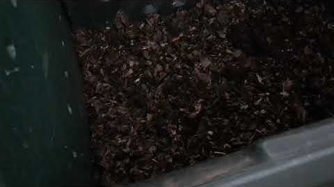 Time-lapse: flipping the leaf compost pile