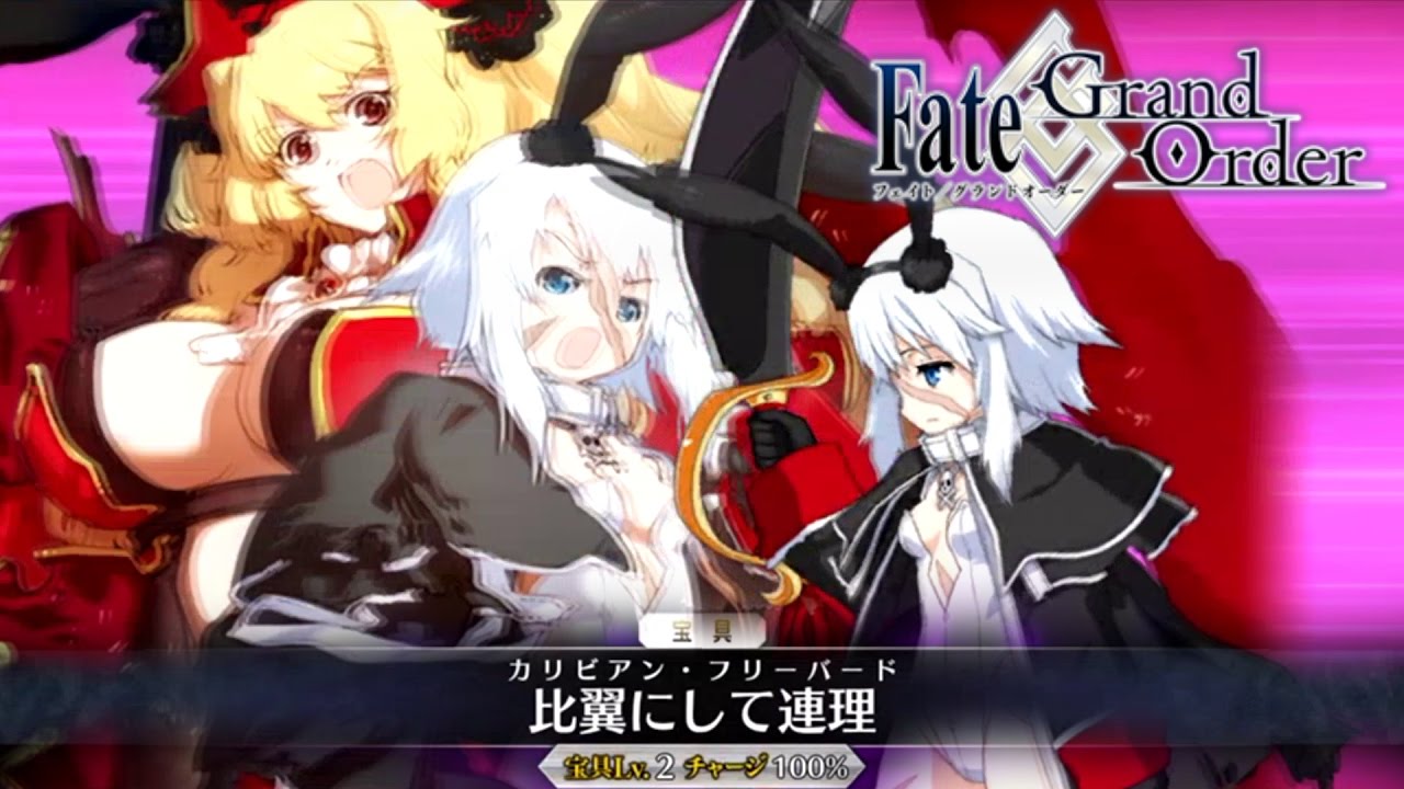 Fgo アン メアリー 宝具 Fate Go Fate Grand Order Noble Phantasm Youtube