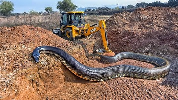 JCB 3dx Backhoe Loader Machine Loading Mud In Mahindra 475 Di Tractor and Stuck in Mud | Jcb Video