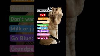 Wait for it… #foryou #shortsfeed #funny #pov #trend