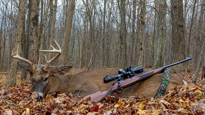 NY Opening Day BUCK DOWN! Self Filmed Rifle Hunt