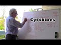 Cytokines - السيتوكينات لغة التواصل بين الخلايا