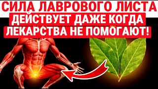 видео: Пейте чай из лаврового листа ЕЖЕДНЕВНО И ПРОСТО НАБЛЮДАЙ РЕЗУЛЬТАТ / ЗДОРОВЬЕ ПОЖИЛЫХ картинка: Пейте чай из лаврового листа ЕЖЕДНЕВНО И ПРОСТО НАБЛЮДАЙ РЕЗУЛЬТАТ / ЗДОРОВЬЕ ПОЖИЛЫХ
