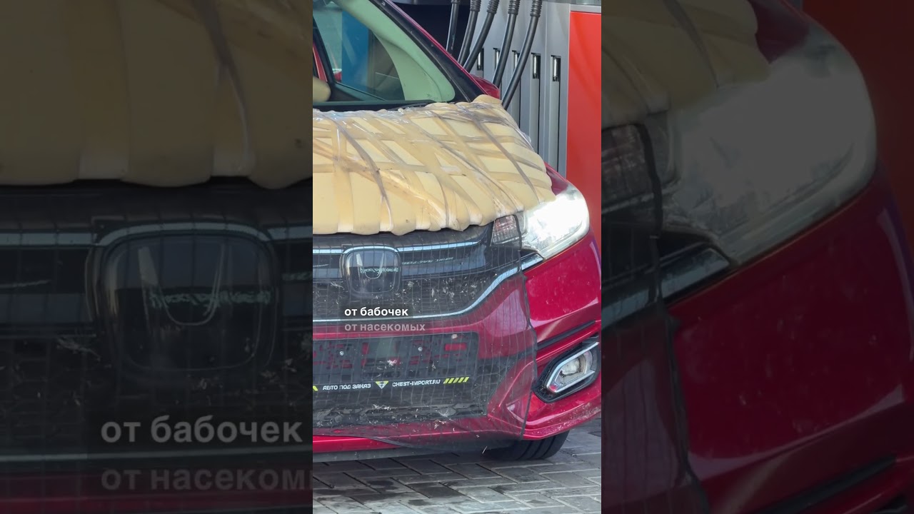 Зачем рыбацкая сетка на поролоне для защиты авто?