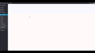Install theme, plugins, child theme