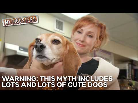 Is There Any Possible Way To Beat A Police Sniffer Dog? | MythBusters