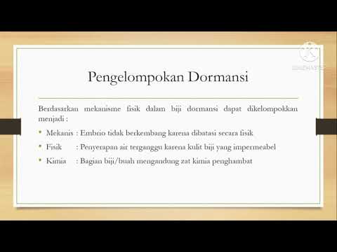 Video: Dormansi Di Ceruk Sel Induk