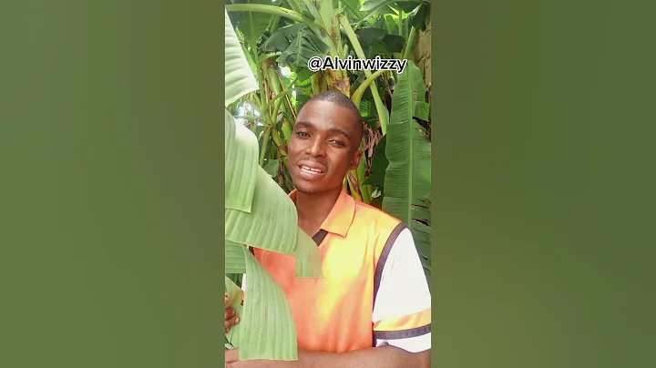 #brainjotter #comedy #funny #shortvideo #markangelcomedy #like #foryou #trending