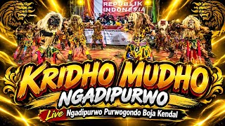Terbaru !!! GEDRUG KRIDHO MUDHO NGADIPURWO Live Ngadipurwo Purwogondo Boja Kendal