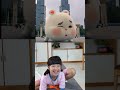 Newest Mochi funny Best video 😂😂😂#mochi