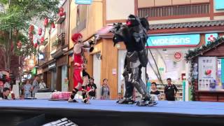 Fatego Rider Vs Berserker Cosplay Alexander &Lancelot