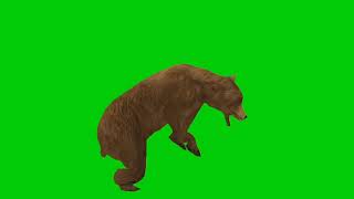 Bear Green Screen All Animations With Different Angles And Sound Effects Editor G