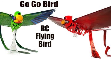 Go Go Bird - RC Flying Bird!