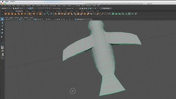 DIGM 4371 Maya Lab tutorial 4   Flying Bird Part 1   Prof  Phil Snyder