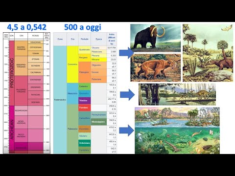Video: Quando è stata sviluppata la colonna geologica?