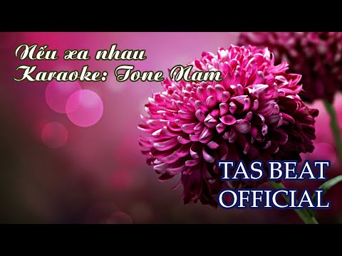 Karaoke Nếu xa nhau - Tone Nam | TAS BEAT