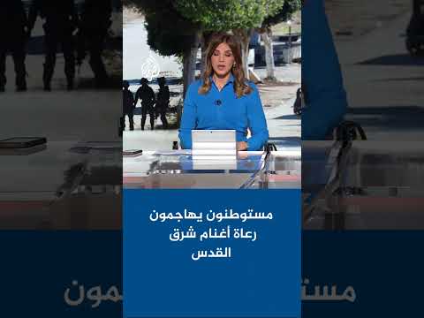 مستوطنون يهاجمون رعاة الأغنام في تجمعين بدويين شرق القدس المحتلة وشمالها 