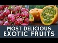 Delicious EXOTIC fruits to try: Top 10 tips for tourists