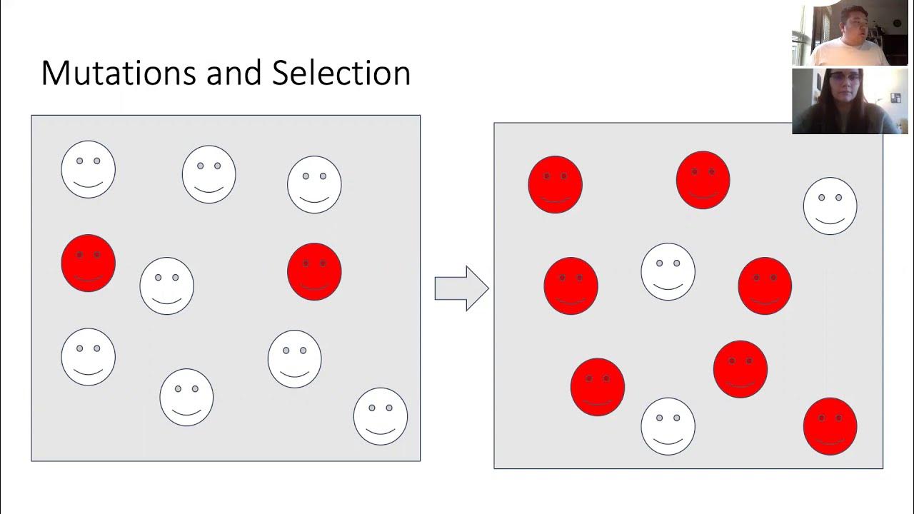 Sharp Lab at UWMadison The Dual Nature of Mutation YouTube