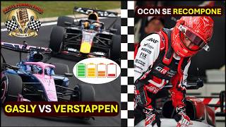 Verstappen contra la zona media 😳 Gasly y Alpine brillan